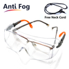 Over Glasses Worker Safety Goggles SG009