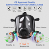 Anti-Chemical Full Face Safety Respirator GM8100