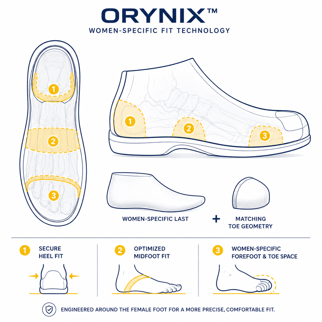 SAFETOE ORYNIX women-specific fit technology illustrating heel fit midfoot support and forefoot toe space in women's safety shoes