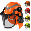 Forestry Safety Helmet with Mesh Visor & Earmuffs M-5009